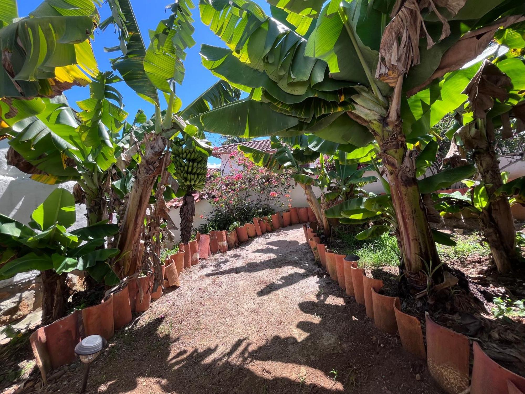 Hotel Florre Blossom Barichara Buitenkant foto